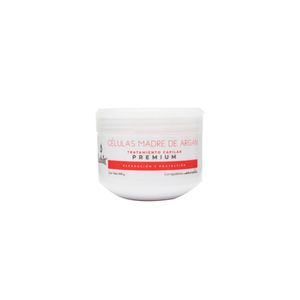 Tratamiento Capilar Lehit Celulas Madre Argan X 300G