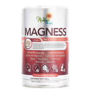 Magnesio Medical House Polvo X 480g